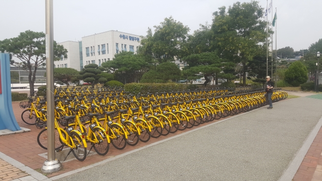 이달말까지 시범운영 하는 수원시 공유자전거