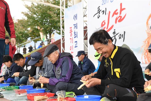 풍기인삼축제장에서 인삼깎기 경연대회가 벌어지고 있다. 영주시 제공