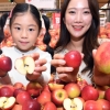 단맛 강해진 국산 미니사과