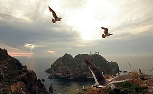 독도 전경. 서울신문 포토라이브러리