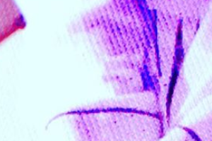 구혜선, 샤워 가운 입은 사람 사진 공개 “법원에는 4장 제출” 또 폭로?