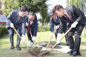 단재의 희생 정신 깃든 모과나무, 영등포에 뿌리내린다