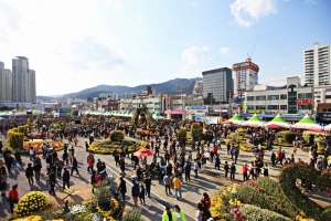 전국 최대규모 단일꽃 축제 제19회 마산국화축제 26~11월 10일