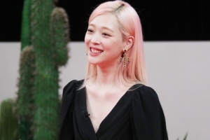 악플의 밤, 18일 휴방 결정 “설리 비보에 깊은 애도” [공식]