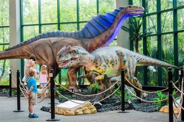 변온동물과 항온동물의 중간에 해당하는 중생대 거대 공룡들이 어떻게 체온 상승을 막고 뇌를 보호할 수 있었는지는 고생물학자를 비롯한 많은 과학자들에게 여전히 수수께끼로 남아 있다. 미국 미시시피 자연사박물관 제공