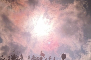 공효진, ‘동백꽃 필 무렵’ 강하늘과 첫 키스 후 “싱숭생숭”[EN스타]