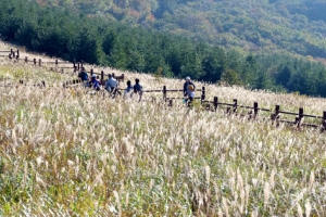 [주말날씨] 일교차 크지만 단풍 구경가기는 좋아요