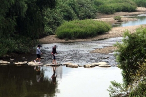 생태복원의 산실 ‘안양천생태이야기관’ 개관 7주년