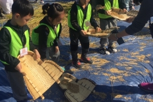 부산기장군,  29일 손벼베기 복원행사 개최