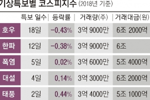 기상특보 땐 코스피도 내렸다