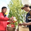 2년 연속 한국시리즈 간 청송사과