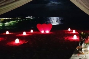 강남♥이상화, 로맨틱 신혼여행 공개 “부부생활 시작”[EN스타]