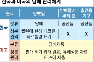 국내도 액상 담배 폐 손상 의심사례… “성분 정보 제출 연내 의무화”