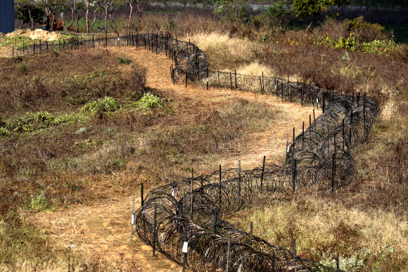 “멧돼지 이동 막아라” 임진강변에 설치된 울타리