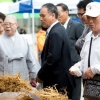 도심 속에서 갓 수확한 인삼을 만나는 인삼 직거래 장터 열린다