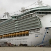 푸에르토리코 유람선에서 손녀 잃은 할아버지 과실치사 혐의로 체포