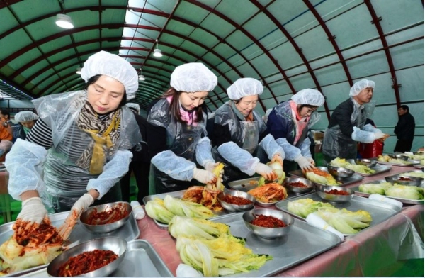 평창 고랭지 배추는 맛 좋고 단단해 김장김치용으로 인기가 높다. 1일부터 11일까지 고랭지 김치축제가 열려 도시 소비자들을 유혹한다. 평창군 제공