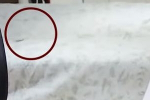 강형욱, 침대 위 포착된 소름 돋는 물체는?