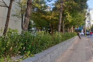 낡은 담장 허물고 푸른 숲길… 영등포 아파트가 숨쉰다