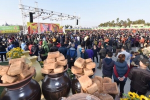 돼지열병 안 끝났는데… DMZ관광·장단콩 축제 서두르는 파주