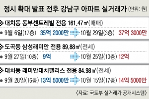 정시 확대에 불붙은 강남 ‘학세권’… 대치동 한 달새 2억 ‘껑충’