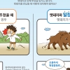 부산에 멧돼지 출몰…1마리 죽고 5마리 도주