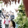 고구마가 매달려 있네?