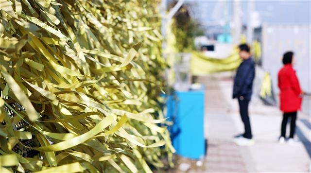 나부끼는 노란리본 9일 전남 목포신항만 세월호 앞으로 추모행렬이 이어지고 있다. 2019.11.9 뉴스1