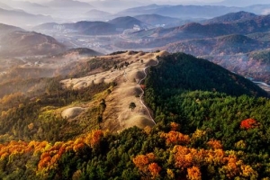 더 높은 곳, 더 큰 왕의 기운… ‘철강 르네상스’ 경북 고령 대가야