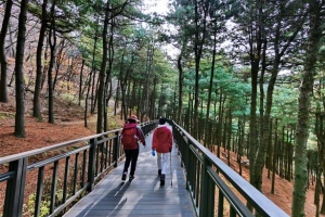 금천, 더 깊어진 호암늘솔길 오늘 개통