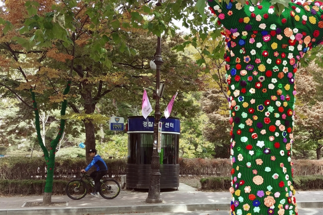 안양예술원에 조성한 털실 옷 가로수가 마치 꽃밭을 보는 듯한 환상적인 분위기를 자아내고 있다. 안양시 제공
