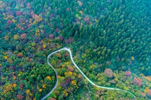 편백·삼나무 자박자박 숲길, 명상·반신욕 느긋느긋 힐링…붉은 노을 온몸 감싸고 입안 가득 맛이 춤추고