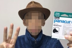 안핑거 사망, 암 치료 위해 개 구충제 먹더니..‘사인은?’