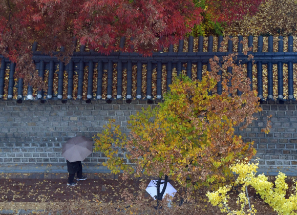 비가 내린 17일 서울 덕수궁에서 시민들이 우산을 쓴채 길을 걷고 있다. 2019.11.17 박지환기자 popocar@seoul.co.kr