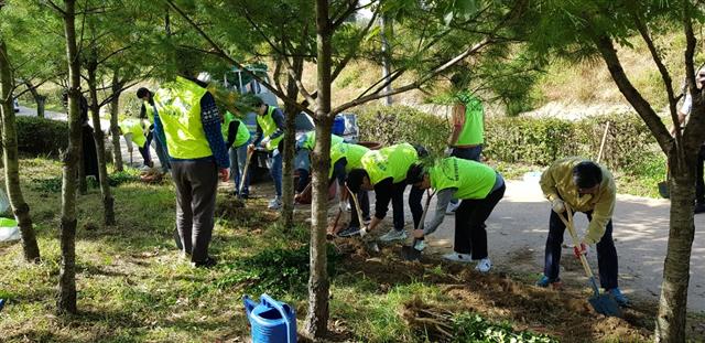 지난달 중순 서울 마포구 상암동 주민들이 향동천에 나무를 심고 있다. 마포구 제공