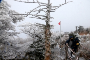 서리꽃 피는 한라산