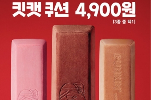 SPC 던킨도너츠 ‘킷캣 쿠션’, 푹신하고 부드러운 쿠션… 4900원 선착순 판매