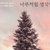 [장동석 평론가의 뉴스 품은 책] 수도 없이 베이는 나무들… 우리 행복이 잘려나간다