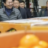 원희룡 제주지사 대구서 제주산 감귤 소비 홍보 나서