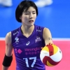 ‘고군분투’ 이재영·박정아… 내년 대표팀 괜찮을까