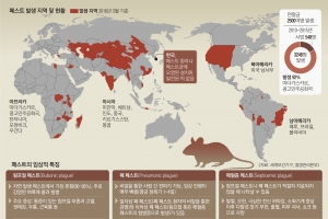 때가 어느 때인데 중국에 페스트가… 항생제 쓰면 치명률 10% 이하로