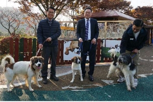 멸종 위기 바둑이 삽살개, 3세까지 대 이었다