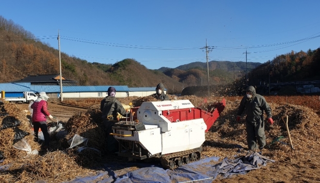 충북 단양군 자체사업인 농기계인력지원단 농작업대행 서비스. 단양군 제공.