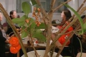 옥주현 송혜교 조여정, 이토록 오래된 연예계 찐우정 [EN스타]