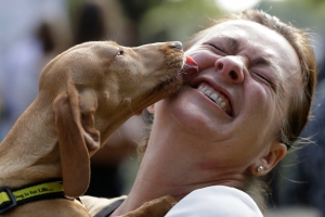 [달콤한 사이언스] 인류가 가장 먼저 가축화한 것은 다름아닌 ‘사람’