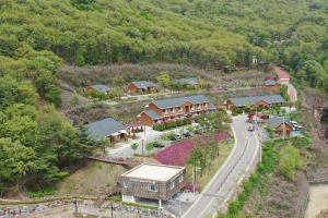 의왕 바라산자연휴양림, 개장 5년만에 이용객 56만명 돌파