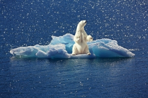 10년 주기 대기순환 강해져 북극빙하 더 빨리 녹는다