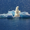 10년 주기 대기순환 강해져 북극빙하 더 빨리 녹는다