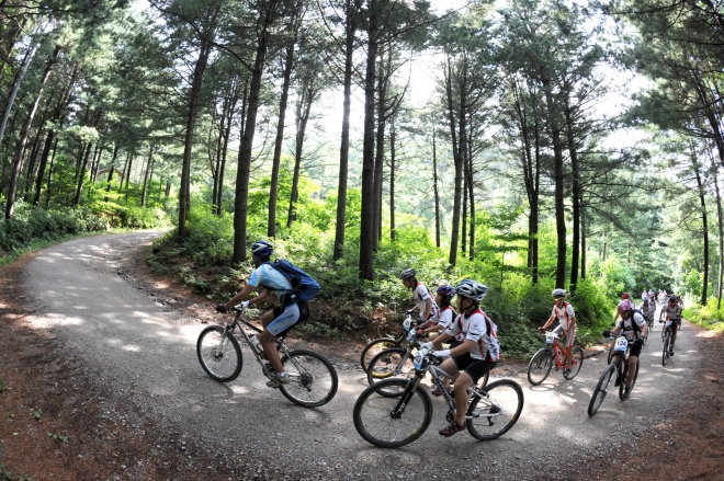 최근 수요가 늘고 있는 산악자전거. 산림청 제공