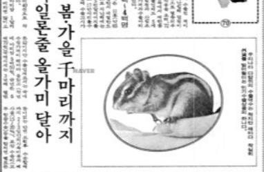 다람쥐 등 이색적인 수출품을 다룬 기사(경향신문 1977년 10월 26일자).
